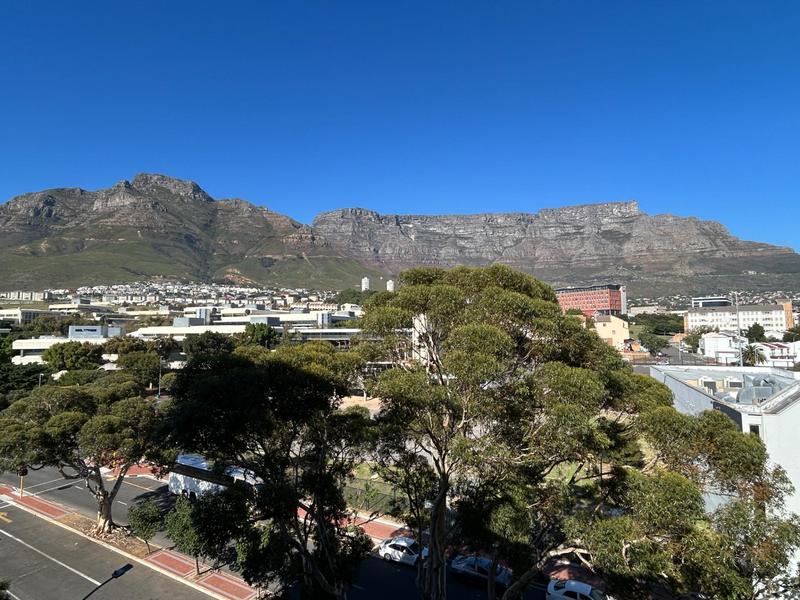 0 Bedroom Property for Sale in Zonnebloem Western Cape
